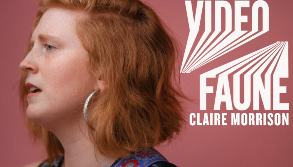 claire morrison pict videofaune