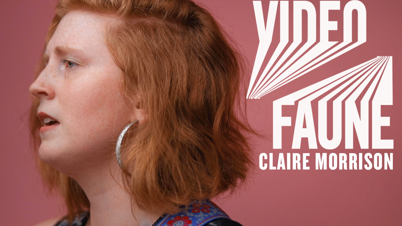 claire morrison pict videofaune