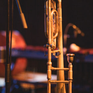DSC_1393-Modifier