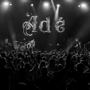 Adé @ Cirque Royal (FrancoFaune 2023) © Lara Herbinia