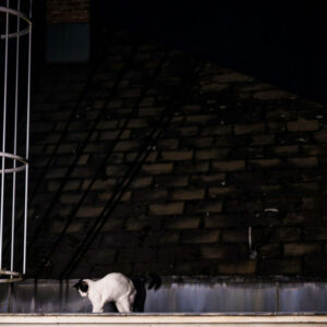 Ambiance cc Bruegel © Lara Herbinia2