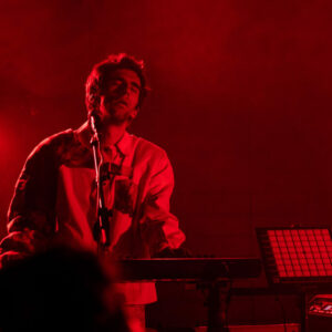 Colt chez Pias Francofaune 23 © Lara Herbinia.jpg13