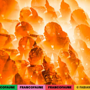 Vicky R @ Brass (FrancoFaune 2024) © Fabian Braeckman