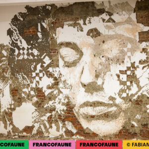 Ambiance @ MIMA (FrancoFaune 2024) © Fabien Braeckman