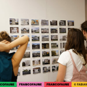 Ambiance @ MIMA (FrancoFaune 2024) © Fabien Braeckman