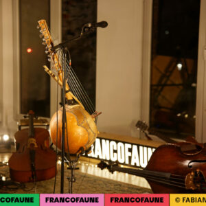 Ambiance @ MIMA (FrancoFaune 2024) © Fabien Braeckman