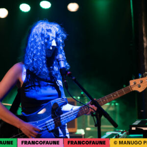 Chaton Laveur @ Pianofabriek (FrancoFaune 2024) © ManuGo Photography
