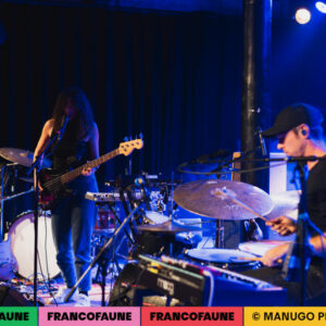 Chaton Laveur @ Pianofabriek (FrancoFaune 2024) © ManuGo Photography