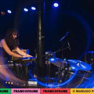 Chaton Laveur @ Pianofabriek (FrancoFaune 2024) © ManuGo Photography