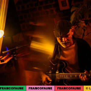 Ostinato Blues @ Appartement (FrancoFaune 2024) © Lara Herbinia