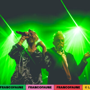 Peritelle @ Botanique (FrancoFaune 2024) © Lara Herbinia