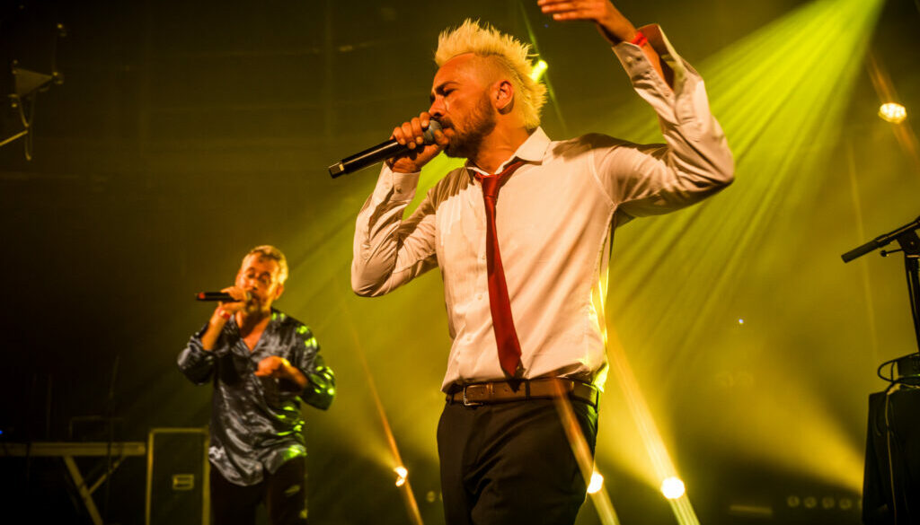 Peritelle @ Botanique (FrancoFaune 2024) © Lara Herbinia