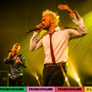 Peritelle @ Botanique (FrancoFaune 2024) © Lara Herbinia