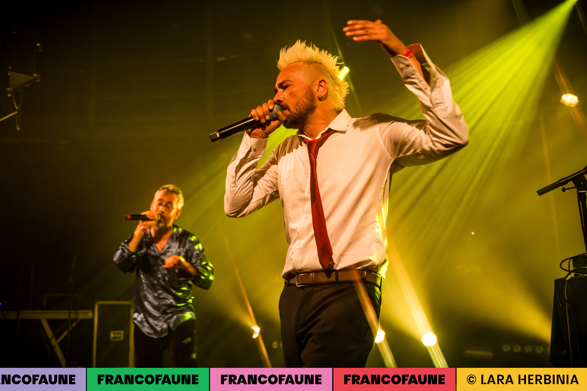 Peritelle @ Botanique (FrancoFaune 2024) © Lara Herbinia