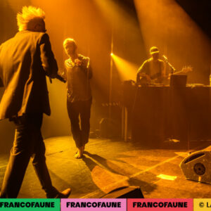Peritelle @ Botanique (FrancoFaune 2024) © Lara Herbinia