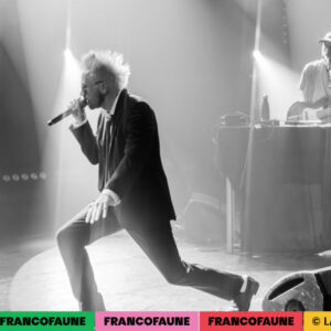 Peritelle @ Botanique (FrancoFaune 2024) © Lara Herbinia