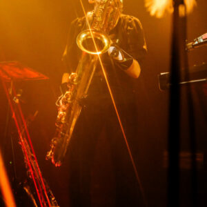 Sages comme des sauvages @ Botanique (FrancoFaune 2024) © Lara Herbinia