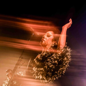 Vakah Profana @ Le 140 (FrancoFaune 2024) © Lara Herbinia