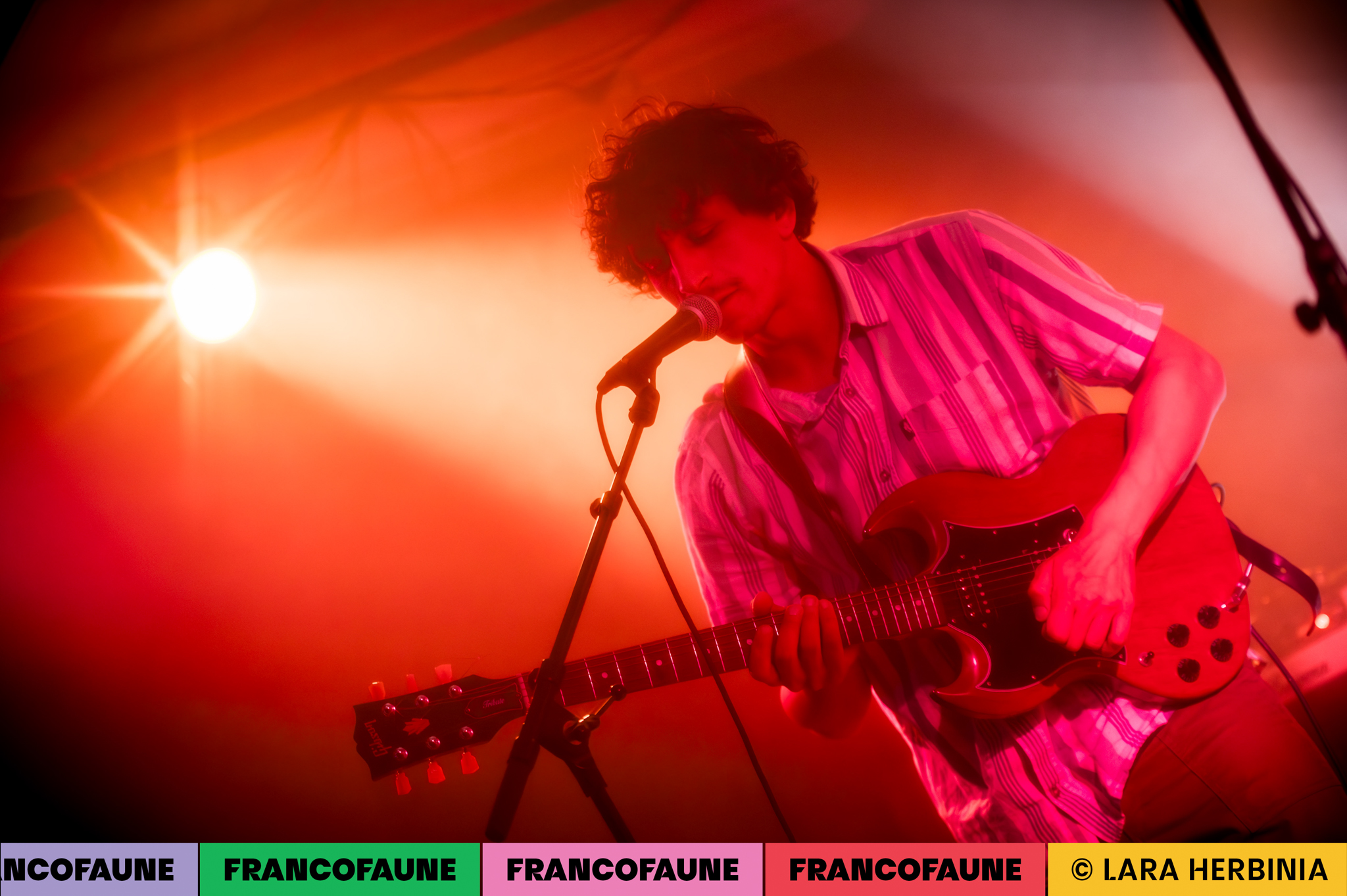Vipères Sucrées Salées @ BAMP (FrancoFaune 2024) © Lara Herbinia