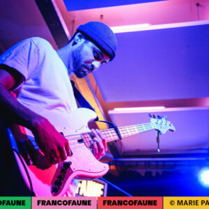 White Corbeau @ LaVallée (FrancoFaune 2024) © Marie Paluszkiewicz