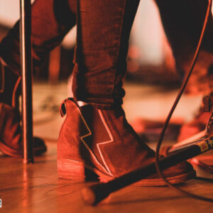 Content @ MIMA (FrancoFaune 2021) © ManuGo Photography