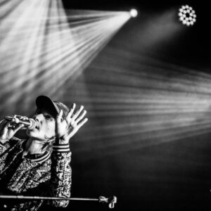 Gisèle Pape @ Brass (FrancoFaune 2021) © Lara Herbinia