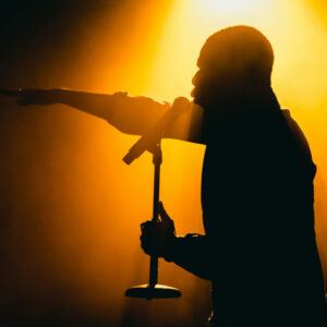 YN @ Brass (FrancoFaune 2021) © Lara Herbinia
