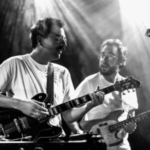 Pierres @ Brass (FrancoFaune 2021) © Lara Herbinia