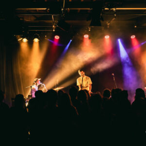 Pierres @ Brass (FrancoFaune 2021) © Lara Herbinia