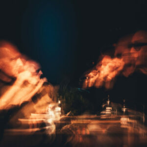 Alain Chamfort/Jacques Duvall (carte belge) @ Atelier 210 (FrancoFaune 2020) © Lara Herbinia