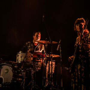 Alain Chamfort/Jacques Duvall (carte belge) @ Atelier 210 (FrancoFaune 2020) © Lara Herbinia