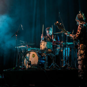 Alain Chamfort/Jacques Duvall (carte belge) @ Atelier 210 (FrancoFaune 2020) © Lara Herbinia