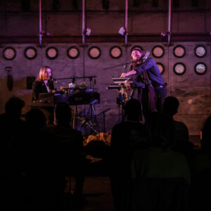 Bisoudefeu @ Brass (FrancoFaune 2020) © Lara Herbinia