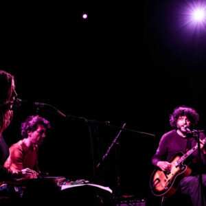 Léonore Boulanger @ Brass (FrancoFaune 2020) © Lara Herbinia