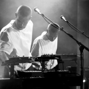 Hervé @ Les Nuits Botanique (FrancoFaune 2020) © Lara Herbinia