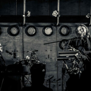Bisoudefeu @ Brass (FrancoFaune 2020) © Lara Herbinia