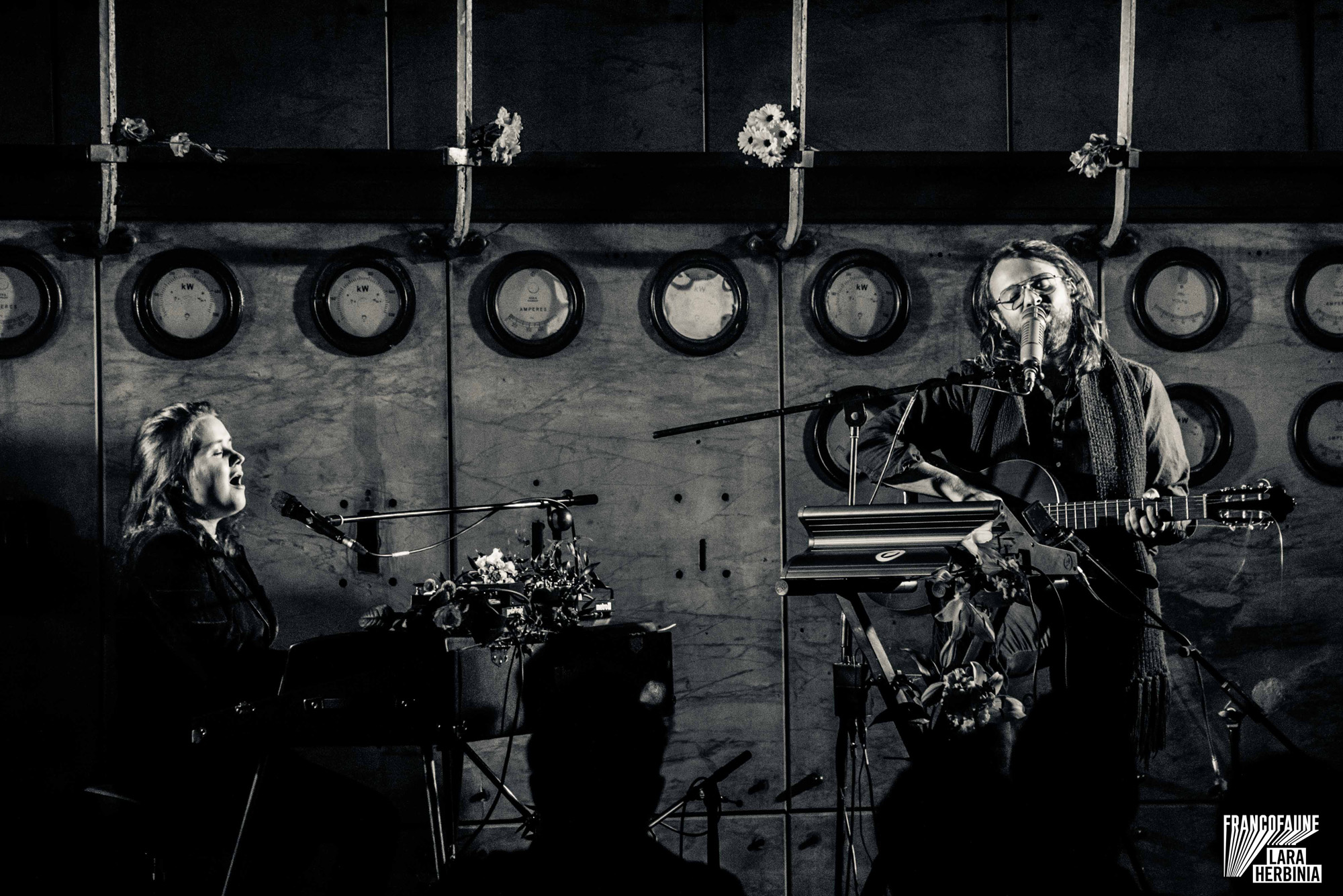 Bisoudefeu @ Brass (FrancoFaune 2020) © Lara Herbinia