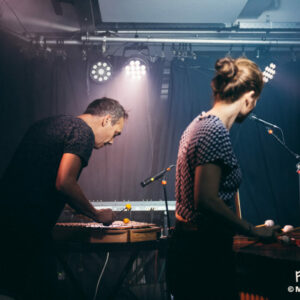 Ivan Tirtiaux & Fièvre @ LaVallée (FrancoFaune 2025) © Marie Paluszkiewicz