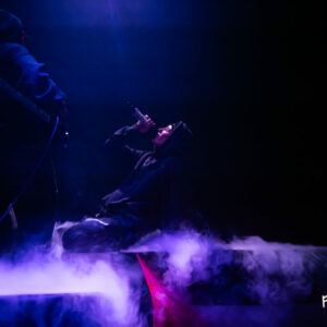 le talu @ Pianofabriek (FrancoFaune 2025) © Lara Herbinia