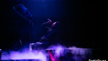 le talu @ Pianofabriek (FrancoFaune 2025) © Lara Herbinia