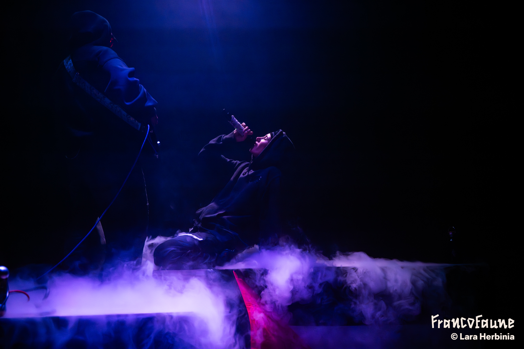 le talu @ Pianofabriek (FrancoFaune 2025) © Lara Herbinia
