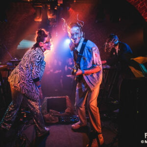 Paons Perdus @ Botanique (FrancoFaune 2025) © Marie Paluszkiewicz