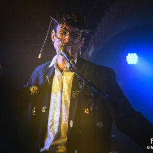 Paons Perdus @ Botanique (FrancoFaune 2025) © Marie Paluszkiewicz