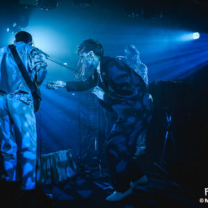 Paons Perdus @ Botanique (FrancoFaune 2025) © Marie Paluszkiewicz