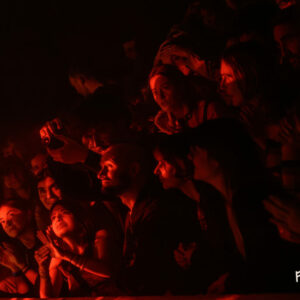 Ambiance @ Botanique (FrancoFaune 2025) © Lara Herbinia