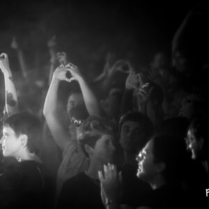 Eloi @ Botanique (FrancoFaune 2025) © Lara Herbinia
