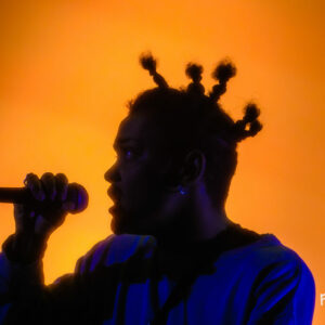cheapjewels @ Atelier 210 (FrancoFaune 2025) © Lara Herbinia