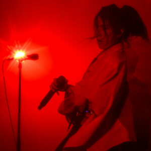 Ojos @ Atelier 210 (FrancoFaune 2025) © Lara Herbinia