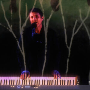 Albin de la Simone @ Espace Lumen (FrancoFaune 2025) © Lara Herbinia