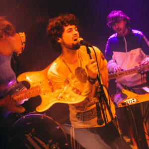 Lizard Lizard @ Maison poème (Auditions Parcours FrancoFaune 2026) © Lara Herbinia